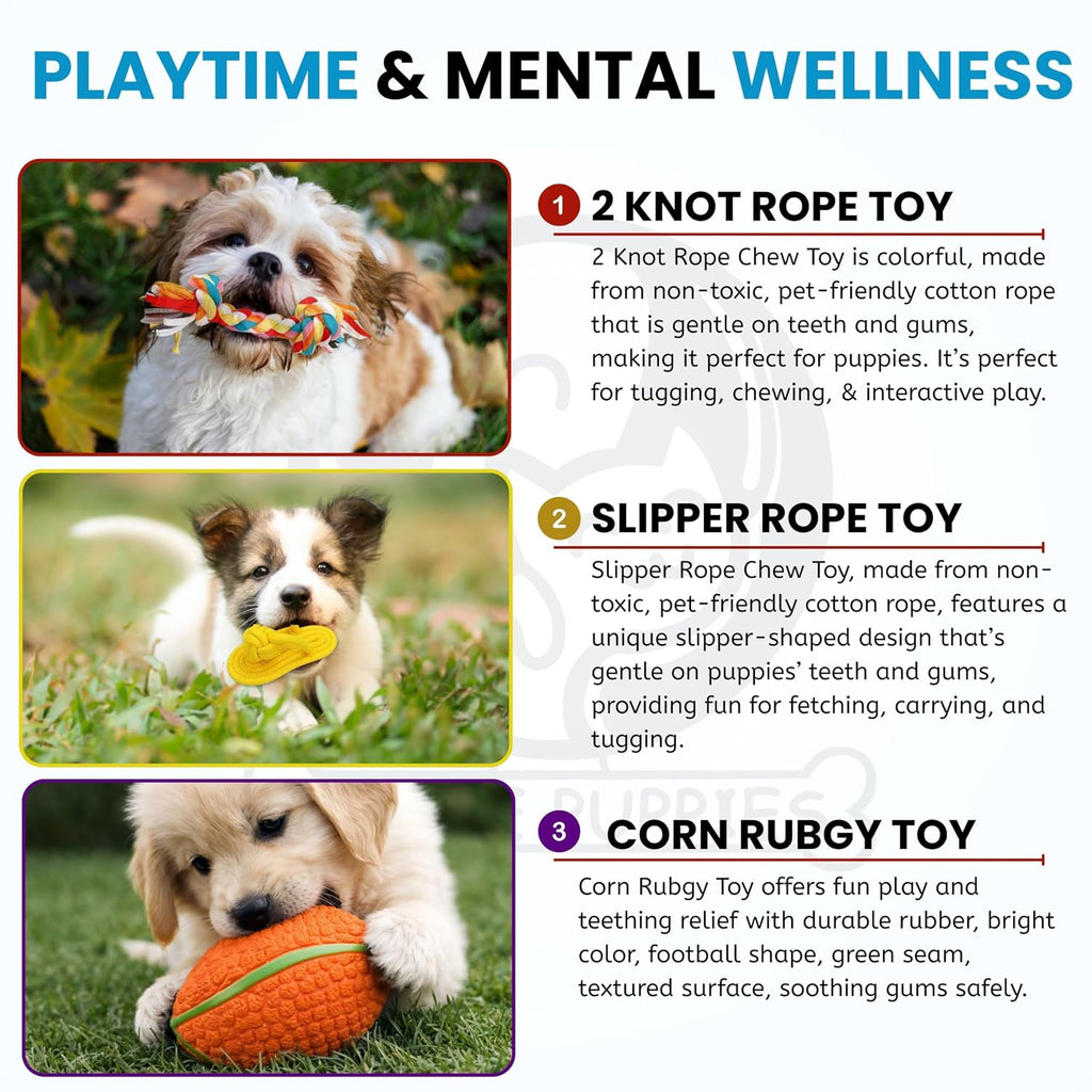 Puppy Starter Kit Newborn Care