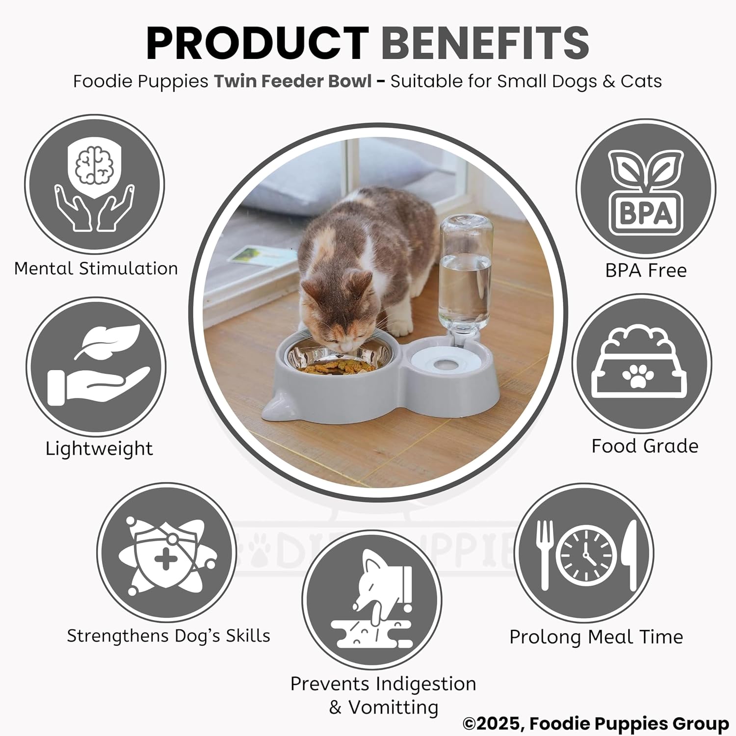 Pet Automatic Water Food Bowl
