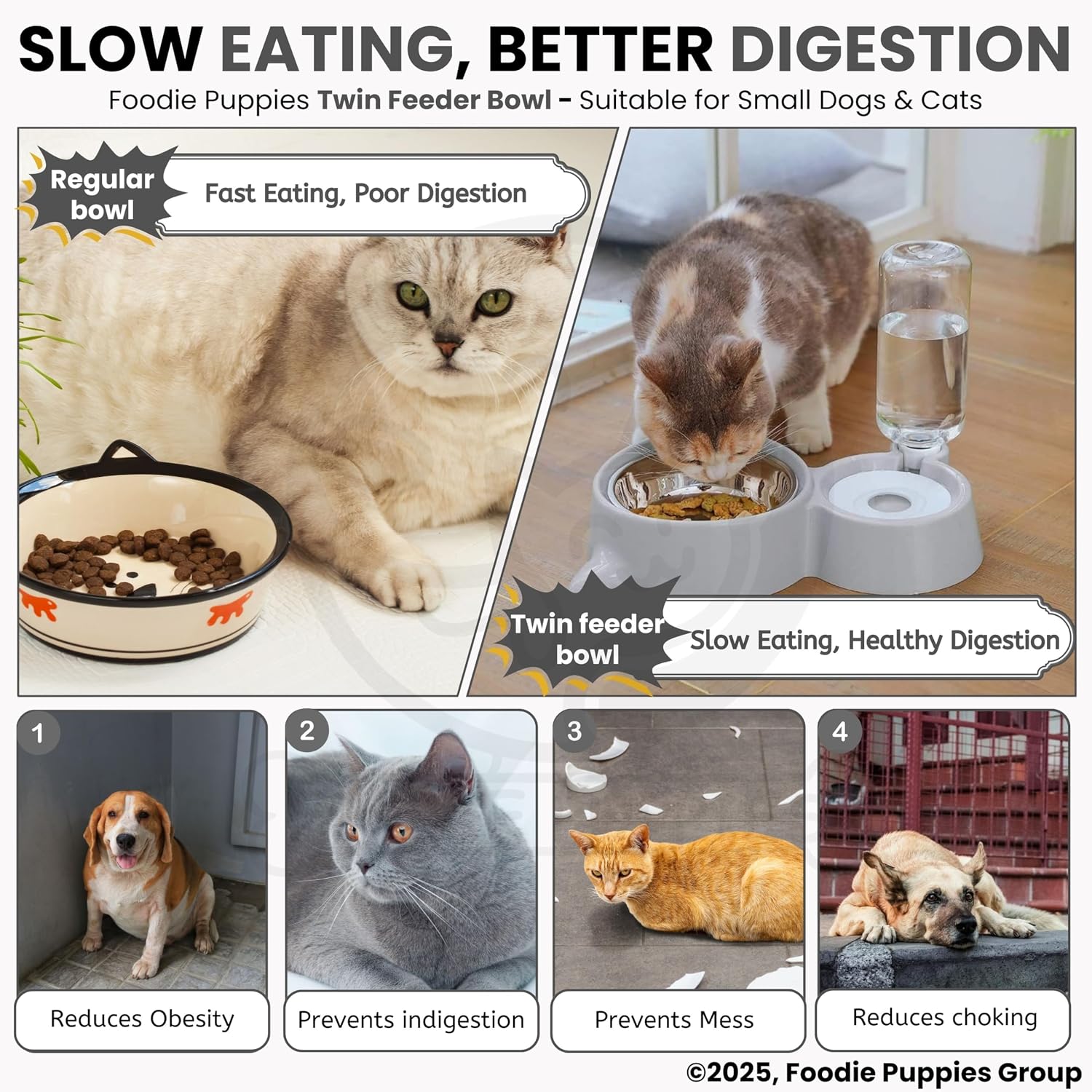Pet Automatic Water Food Bowl